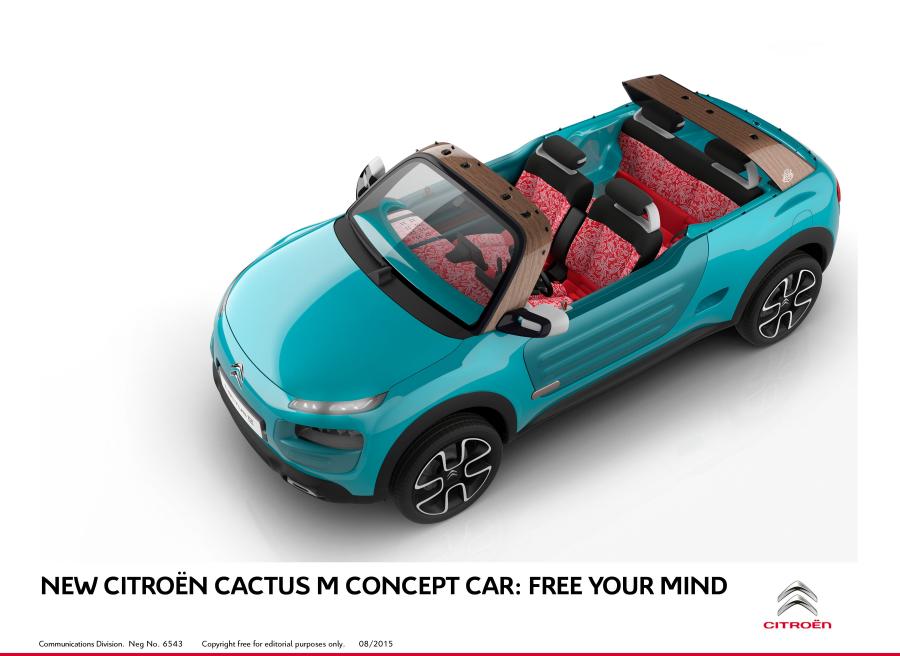  Citroen Cactus M Concept 2015 года  (фото 63 из 66)